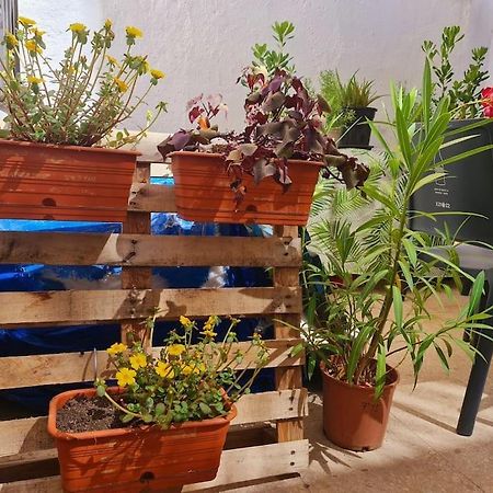 Estancia De Ensueno Y Relax Parking Gratuito Grenada Zewnętrze zdjęcie