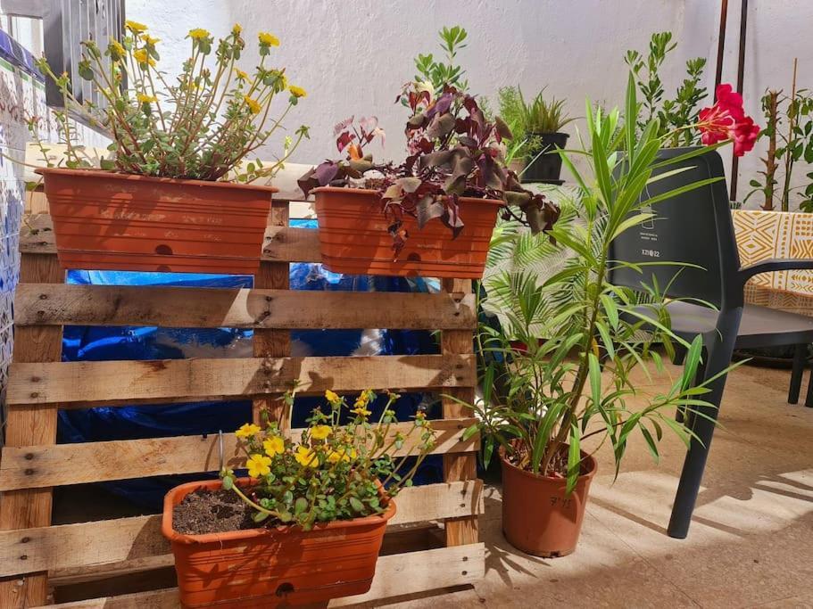 Estancia De Ensueno Y Relax Parking Gratuito Grenada Zewnętrze zdjęcie